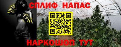 apvp Лесосибирск