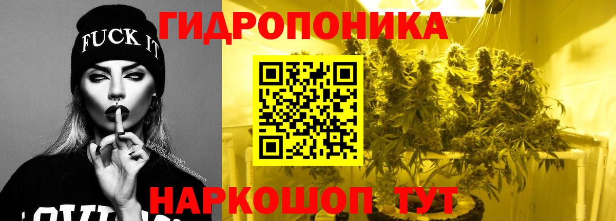МАРИХУАНА сатива Вичуга